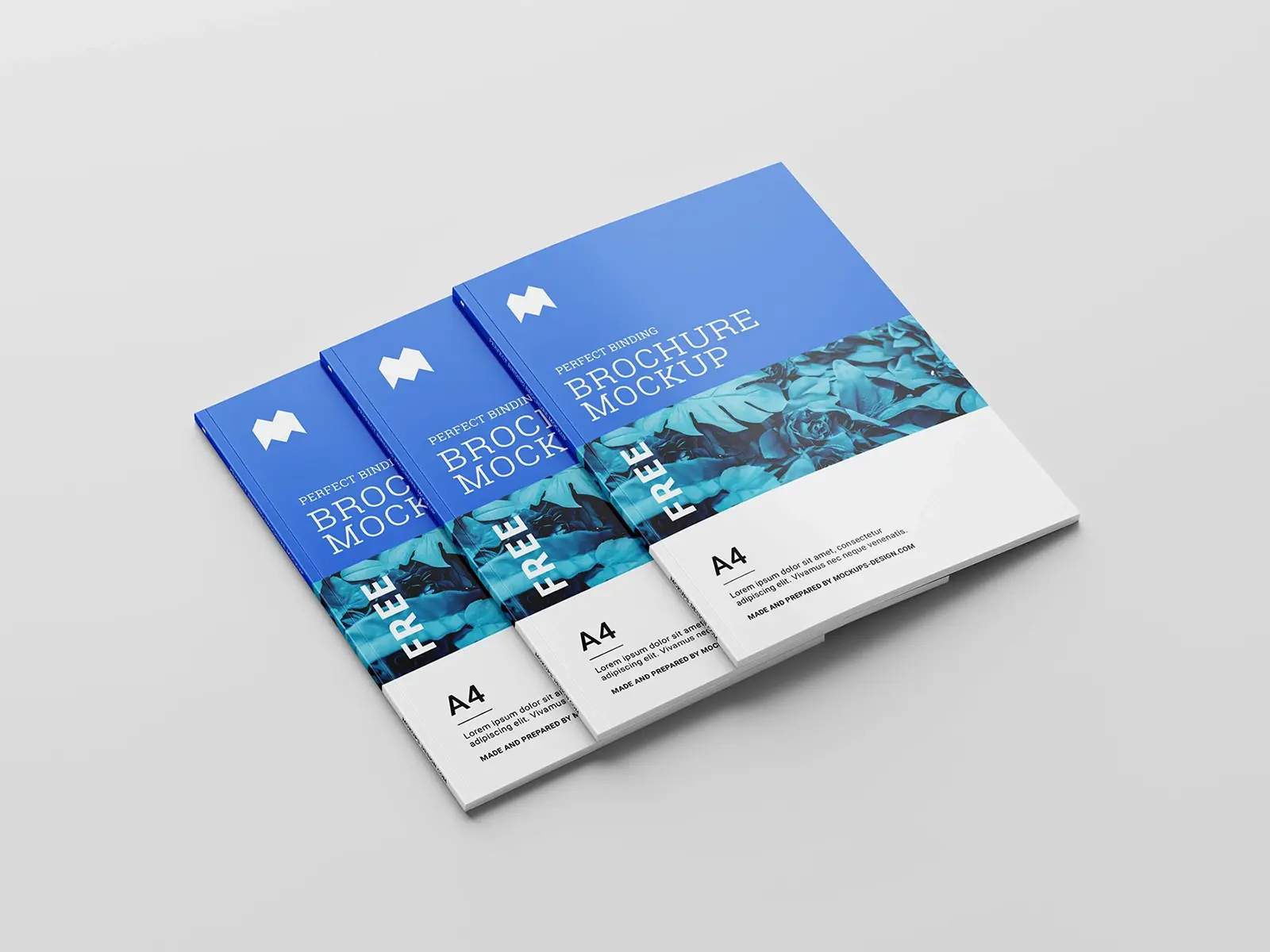Katalog Baskı